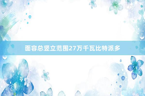 面容总竖立范围27万千瓦比特派多