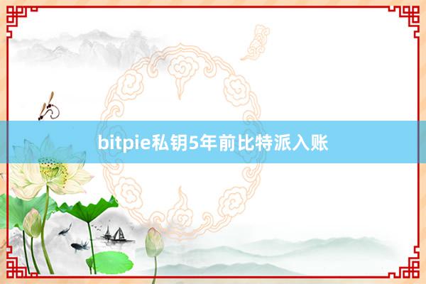 bitpie私钥5年前比特派入账