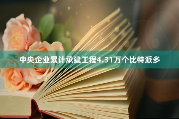 中央企业累计承建工程4.31万个比特派多