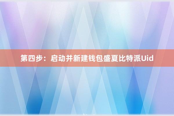 第四步：启动并新建钱包盛夏比特派Uid