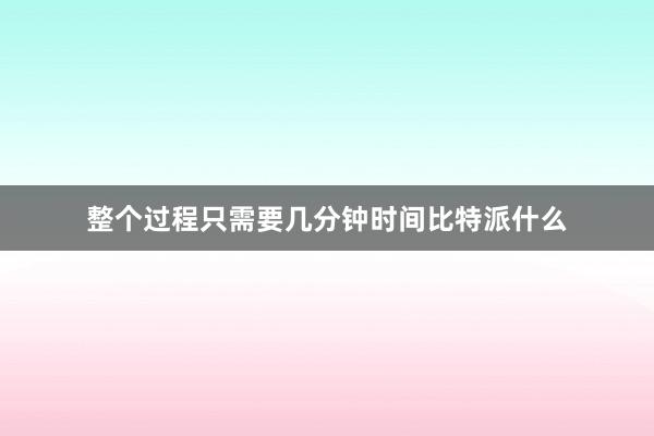 整个过程只需要几分钟时间比特派什么