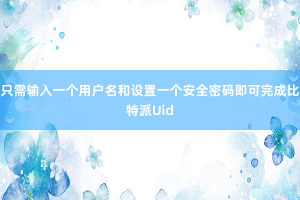 只需输入一个用户名和设置一个安全密码即可完成比特派Uid