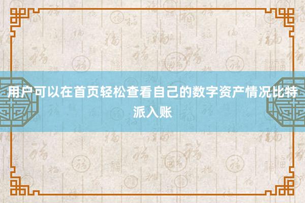 用户可以在首页轻松查看自己的数字资产情况比特派入账