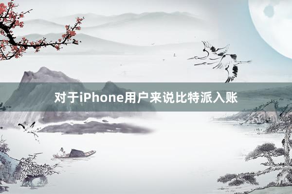 对于iPhone用户来说比特派入账