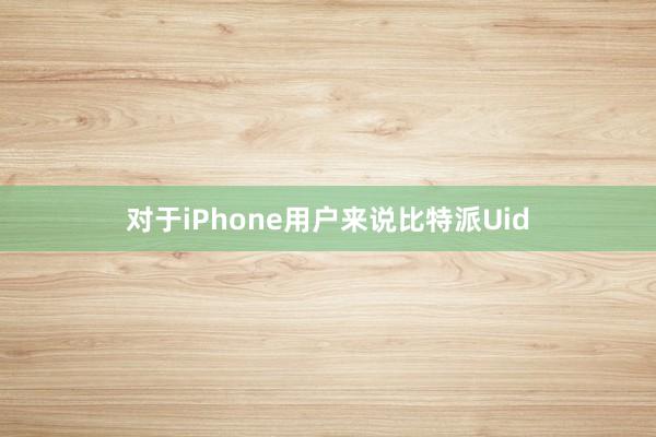 对于iPhone用户来说比特派Uid