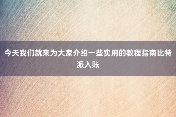 今天我们就来为大家介绍一些实用的教程指南比特派入账