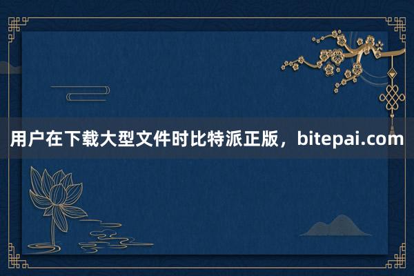 用户在下载大型文件时比特派正版，bitepai.com