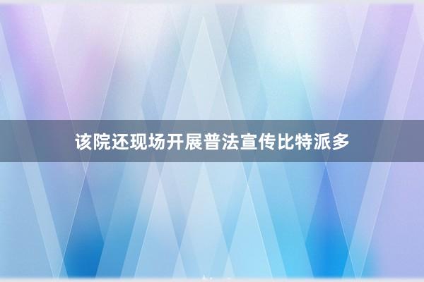 该院还现场开展普法宣传比特派多