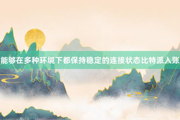 能够在多种环境下都保持稳定的连接状态比特派入账