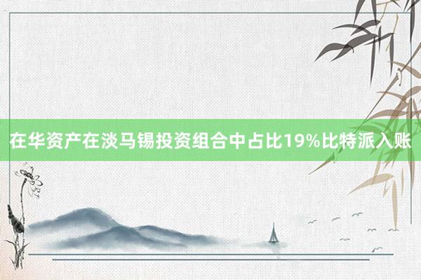 在华资产在淡马锡投资组合中占比19%比特派入账