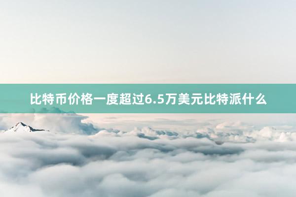 比特币价格一度超过6.5万美元比特派什么