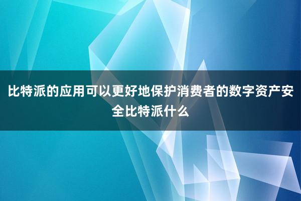 比特派的应用可以更好地保护消费者的数字资产安全比特派什么