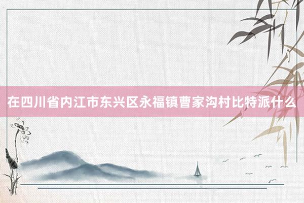 在四川省内江市东兴区永福镇曹家沟村比特派什么