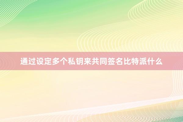 通过设定多个私钥来共同签名比特派什么