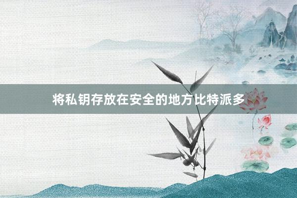 将私钥存放在安全的地方比特派多