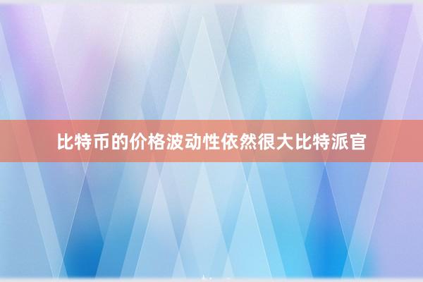 比特币的价格波动性依然很大比特派官