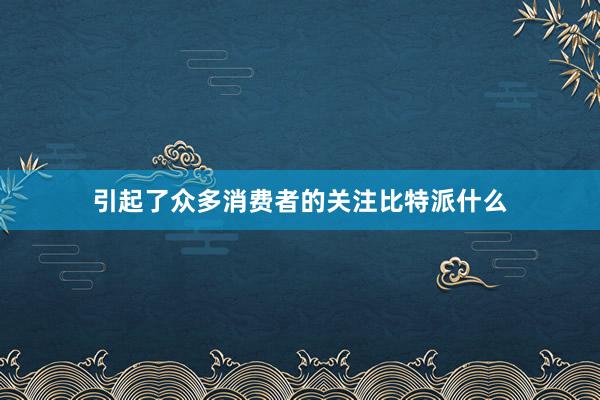 引起了众多消费者的关注比特派什么