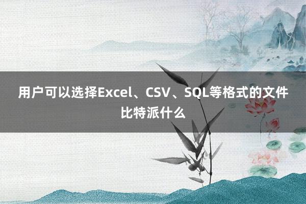 用户可以选择Excel、CSV、SQL等格式的文件比特派什么