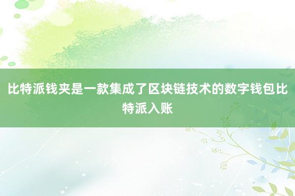 比特派钱夹是一款集成了区块链技术的数字钱包比特派入账