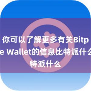 你可以了解更多有关Bitpie Wallet的信息比特派什么