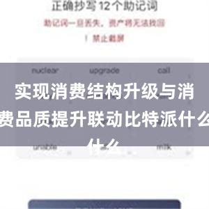 实现消费结构升级与消费品质提升联动比特派什么