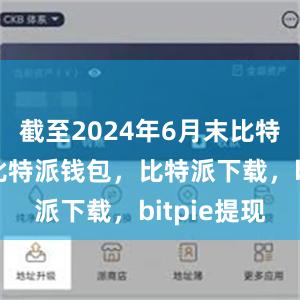 截至2024年6月末比特派官网，比特派钱包，比特派下载，bitpie提现