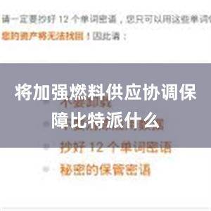 将加强燃料供应协调保障比特派什么