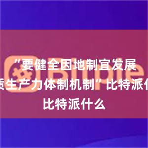 “要健全因地制宜发展新质生产力体制机制”比特派什么