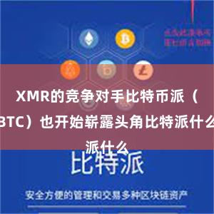 XMR的竞争对手比特币派（BTC）也开始崭露头角比特派什么