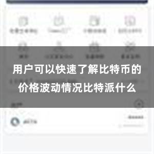 用户可以快速了解比特币的价格波动情况比特派什么