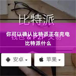 你可以确认比特派正在充电比特派什么